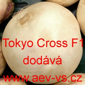 Vodnice brukev řep&aacute;k hybridn&iacute; Tokyo Cross F1