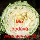 Zel&iacute; hl&aacute;vkov&eacute; b&iacute;l&eacute; letn&iacute; Mix