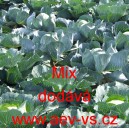 Zel&iacute; hl&aacute;vkov&eacute; b&iacute;l&eacute; kruh&aacute;rensk&eacute; Mix