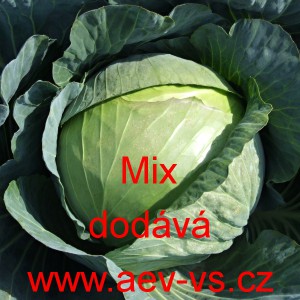 Zel&iacute; hl&aacute;vkov&eacute; b&iacute;l&eacute; skladovateln&eacute; Mix