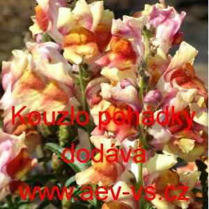 Hled&iacute;k vět&scaron;&iacute; Kouzlo poh&aacute;dky