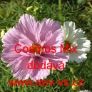 Kr&aacute;senka zpeřen&aacute; Mix