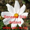 Kr&aacute;senka zpeřen&aacute; Sensace B&iacute;l&aacute;