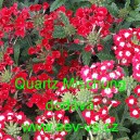 Spor&yacute;&scaron; zahradn&iacute;, zkř&iacute;žen&yacute; Quartz Mischung