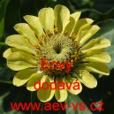 Ost&aacute;lka sličn&aacute;, lep&aacute; Envy