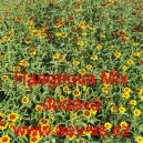 Ost&aacute;lka Haageova Mix