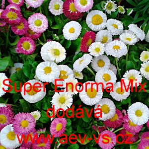 Sedmikr&aacute;ska obecn&aacute; Super Enorma Mix