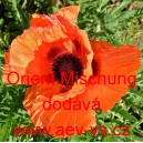 M&aacute;k v&yacute;chodn&iacute; Orient Mischung