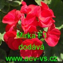 Mu&scaron;k&aacute;t p&aacute;skat&yacute; Mirka F1