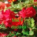 Kysala velkokvět&aacute;, hl&iacute;znat&aacute;, beg&oacute;nie F1 Mix