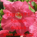 Pet&uacute;nie velkokvět&aacute; Express F1 Salmon