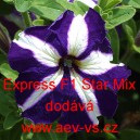 Pet&uacute;nie velkokvět&aacute; Express F1 Star Mix