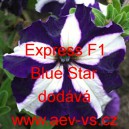Pet&uacute;nie velkokvět&aacute; Express F1 Blue Star