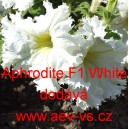 Pet&uacute;nie velkokvět&aacute; třepenit&aacute; Aphrodite F1 White