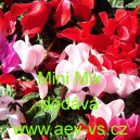 Bramboř&iacute;k persk&yacute; Mini Mix