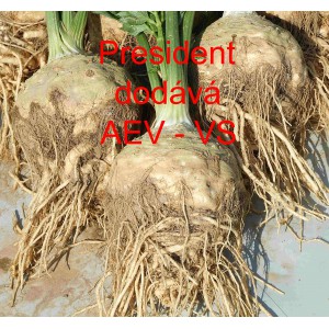 Celer bulvov&yacute; President