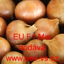 Cibule jarn&iacute; kuchyňsk&aacute; hybridn&iacute; žlutohněd&aacute; ran&aacute; EU F1 Mix