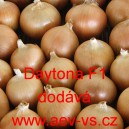 Cibule jarn&iacute; kuchyňsk&aacute; hybridn&iacute; Daytona F1