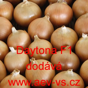 Cibule jarn&iacute; kuchyňsk&aacute; hybridn&iacute; Daytona F1