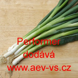 Cibule zimn&iacute; naťov&aacute; Performer 