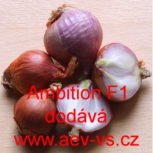 Cibule &scaron;alotka hybridn&iacute; Ambition F1
