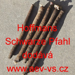 Čern&yacute; kořen Had&iacute; mord &scaron;panělsk&yacute; Hoffmans Schwarze Pfahl