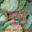 Kapusta hl&aacute;vkov&aacute; hybridn&iacute; ran&aacute; EU F1 Mix