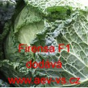 Kapusta hl&aacute;vkov&aacute; hybridn&iacute; Firensa F1