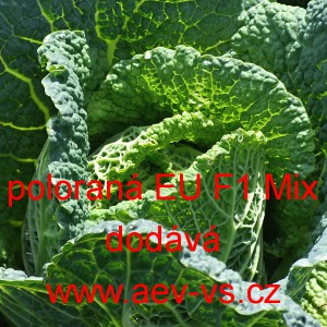 Kapusta hl&aacute;vkov&aacute; hybridn&iacute; poloran&aacute; EU F1 Mix