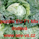 Kapusta hl&aacute;vkov&aacute; hybridn&iacute; pozdn&iacute; EU F1 Mix