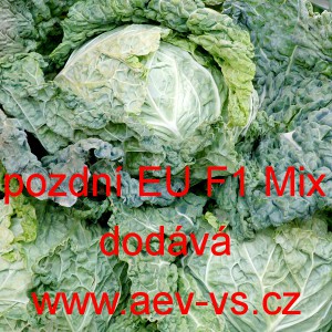 Kapusta hl&aacute;vkov&aacute; hybridn&iacute; pozdn&iacute; EU F1 Mix