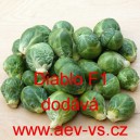 Kapusta růžičkov&aacute; hybridn&iacute; Diablo F1