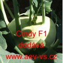 Kedluben b&iacute;l&yacute; hybridn&iacute; Cindy F1