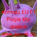 Kedluben modr&yacute; poloran&yacute; hybridn&iacute; Kohlrabi EU F1 Purple Mix