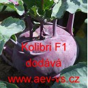 Kedluben modr&yacute; hybridn&iacute; Kolibri F1