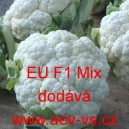 Květ&aacute;k hybridn&iacute; pozdn&iacute; zahraničn&iacute; EU F1 Mix
