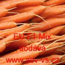 Mrkev obecn&aacute; hybridn&iacute; Nantes velmi ran&aacute; EU F1 Mix