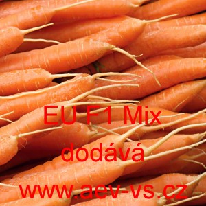 Mrkev obecn&aacute; hybridn&iacute; Nantes velmi ran&aacute; EU F1 Mix