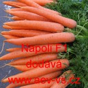 Mrkev obecn&aacute; hybridn&iacute; Napoli F1