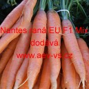 Mrkev obecn&aacute; hybridn&iacute; Nantes ran&aacute; EU F1 Mix