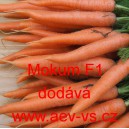 Mrkev obecn&aacute; hybridn&iacute; Mokum F1