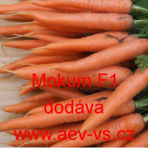 Mrkev obecn&aacute; hybridn&iacute; Mokum F1
