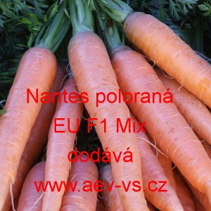 Mrkev obecn&aacute; hybridn&iacute; Nates poloran&aacute; EU F1 Mix