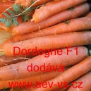 Mrkev obecn&aacute; hybridn&iacute; Dordogne F1