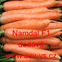 Mrkev obecn&aacute; hybridn&iacute; Namdal F1