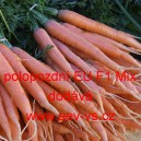 Mrkev obecn&aacute; hybridn&iacute; Nantes polopozdn&iacute; EU F1 Mix