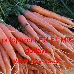 Mrkev obecn&aacute; hybridn&iacute; Nantes polopozdn&iacute; EU F1 Mix