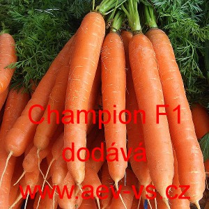 Mrkev obecn&aacute; hybridn&iacute; Champion F1