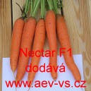 Mrkev obecn&aacute; hybridn&iacute; Nectar F1