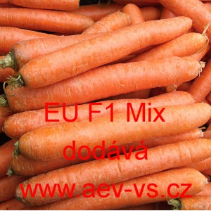 Mrkev obecn&aacute; hybridn&iacute; Nantes/Imperator EU F1 Mix